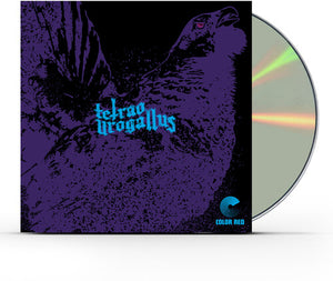 TETRAO UROGALLUS | TETRAO UROGALLUS