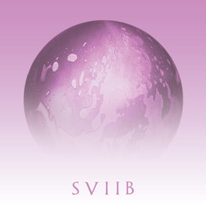 SCHOOL OF SEVEN BELLS | SVIIB