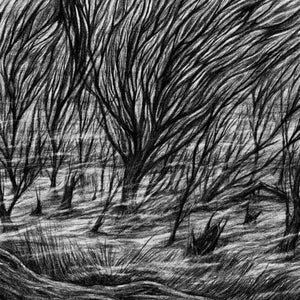 BISMUTH | ETERNAL MARSHES