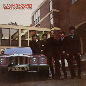 FLAMIN' GROOVIES | SHAKE SOME ACTION