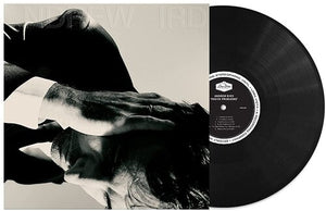 ANDREW BIRD | INSIDE PROBLEMS