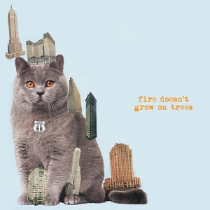 THE BRIAN JONESTOWN MASSACRE | FIRE DOESN'T GROW ON TREES