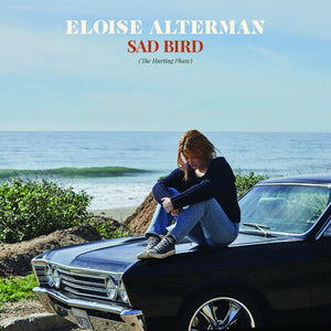 ELOISE ALTERMAN | SAD BIRD
