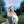 QUEEN OF VERSAILLES