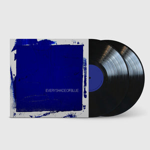 THE HEAD AND THE HEART | EVERY SHADE OF BLUE