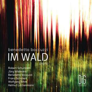 BENEDETTO BOCCUZZI | IM WALD