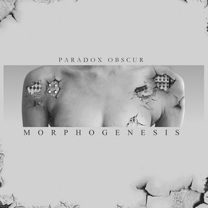 PARADOX OBSCUR | MORPHOGENESIS