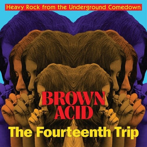 VARIOUS ARTISTS | BROWN ACID - FOURTEENTH TRIP (VARIOUS ARTISTS)