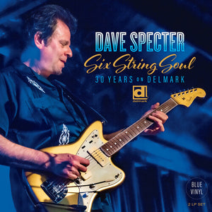 DAVE SPECTER | SIX STRING SOUL: 30 YEARS ON DELMARK - BLUE