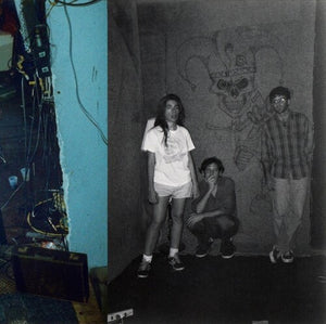HARRY PUSSY | YOULL NEVER PLAY THIS TOWN AGAIN (2LP SET) (VINYL)