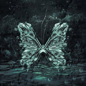 | CHAOS BUTTERFLY