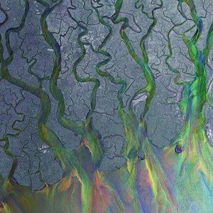 ALT-J | AWESOME WAVE