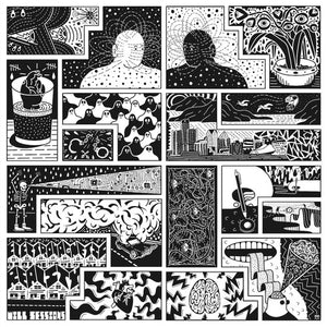 WILL SESSIONS | ELECTROMAGNETIC REALITY
