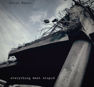 CYCLO-SONIC | EVERYTHING WENT STUPID