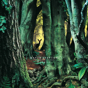 DAVID SYLVIAN | MANAFON