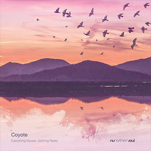 COYOTE | EVERYTHING MOVES NOTHING RESTS