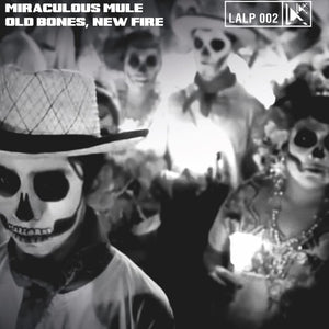 MIRACULOUS MULE | OLD BONES NEW FIRE