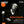 NEW PHILHARMONIA ORCHESTRA^JOHN OGDON | KUBELIK CONDUCTS HAYDN
