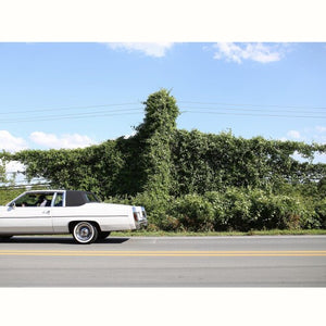CORY BRANAN | WHEN I GO I GHOST (VINYL)