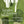 PAIGE ROBERTS MOLLOY^MARY LYNCH VANDERKOLK^EDUARDO RIOS | SONATAS & CHAMBER MUSIC FOR OBOE & OBOE DAMORE