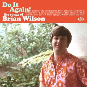 VARIOUS ARTISTS | DO IT AGAIN: THE SONGS OF BRIAN WILSON / VARIOUS