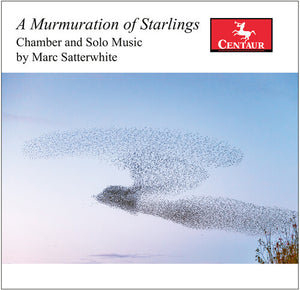 STEPHEN MATTINGLY^MATTHEW NELSON^KATHLEEN KARR^DOUGLAS JURS | MURMURATION OF STARLINGS