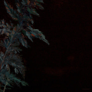 LUCY ROLEFF^LEHMANN B SMITH | DARK GREEN