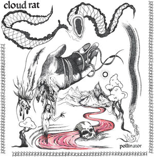 CLOUD RAT | POLLINATOR