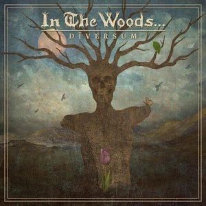IN THE WOODS... | DIVERSUM