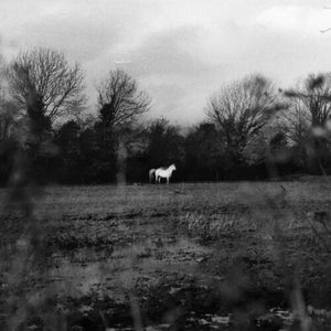 FLATSOUND | WHEN YOU RUN AWAY DO YOU CLOSE YOUR EYES