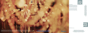 STEAMHAMMER | REFLECTION
