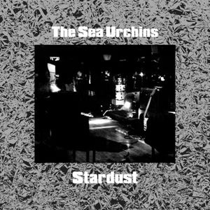 SEA URCHINS | STARDUST