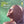 ODELL BROWN AND THE ORGAN - IZERS | DUCKY - US STEREO - SLIGHT WARP PLAYS FINE