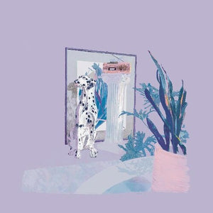 ABRACADABRA | SHAPES AND COLORS (VINYL)