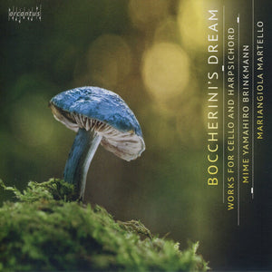 MIME YAMAHIRO BRINKMANN^MARIANGUIOLA MARTELLO | BOCCHERINI'S DREAM