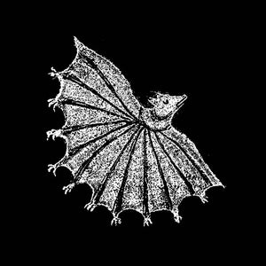 XIU XIU | IGNORE GRIEF - SILVER GHOST
