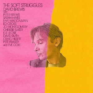 DAVID BREWIS | SOFT STRUGGLES (VINYL)