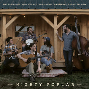 MIGHTY POPLAR | MIGHTY POPLAR