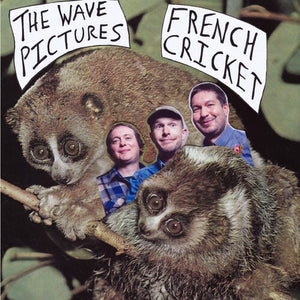 THE WAVE PICTURES | FRENCH CRICKET