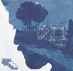 ZAYN | ROOM UNDER THE STAIRS (ALTERNATE COVER ART) (STUDIO COLOUR 2LP EDITION) (VINYL)