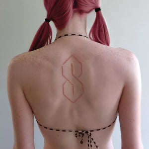 FROST CHILDREN | SISTER (INCLUDES POSTER) (VINYL)