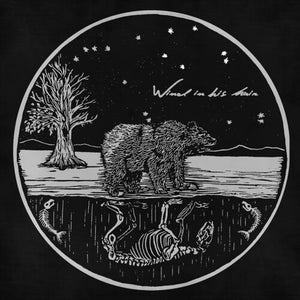 WIND IN HIS HAIR | FUTURE PRIMITIVES