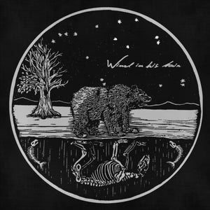 WIND IN HIS HAIR | FUTURE PRIMITIVES