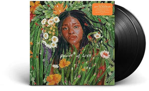 JOY OLADOKUN | PROOF OF LIFE (2LP SET) (VINYL)