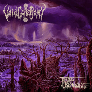 VOIDCEREMONY | THREADS OF UNKNOWING