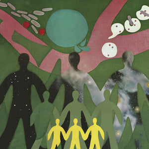 DANIEL O'SULLIVAN | PHYSIC GARDEN