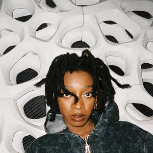 LITTLE SIMZ | NO THANK YOU (DIGI)