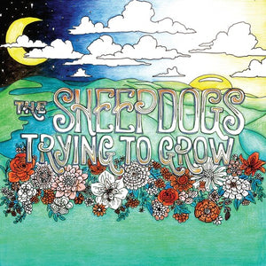THE SHEEPDOGS | TRYING TO GROW