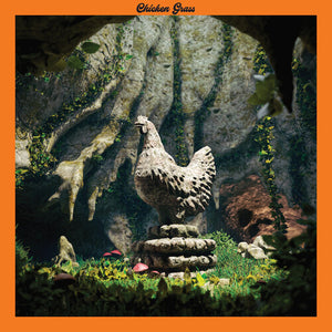 CHICKEN GRASS | CHICKEN GRASS