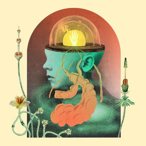 SALAMI ROSE JOE LOUIS | AKOUSMATIKOUS (VINYL)